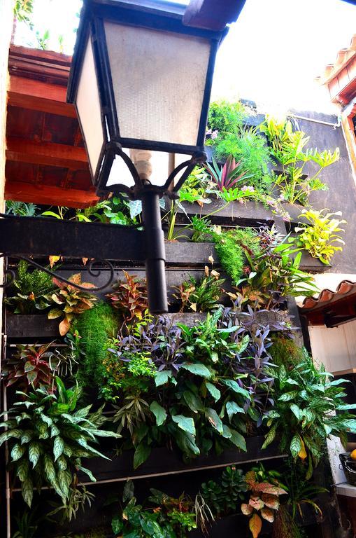 Hotel Galeria La Trinidad Cartagena Dış mekan fotoğraf